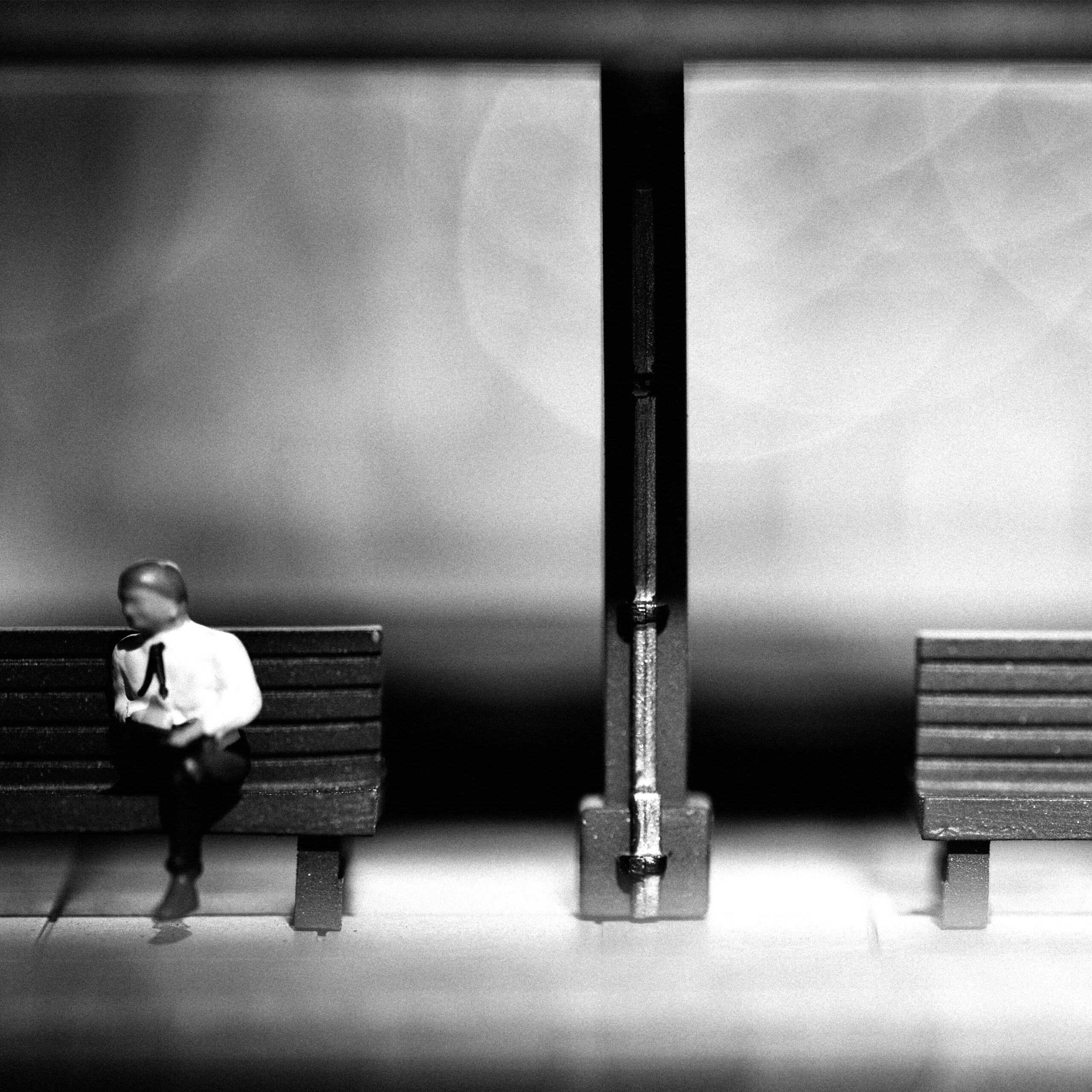 Diminished January 15 2026 diptych 1