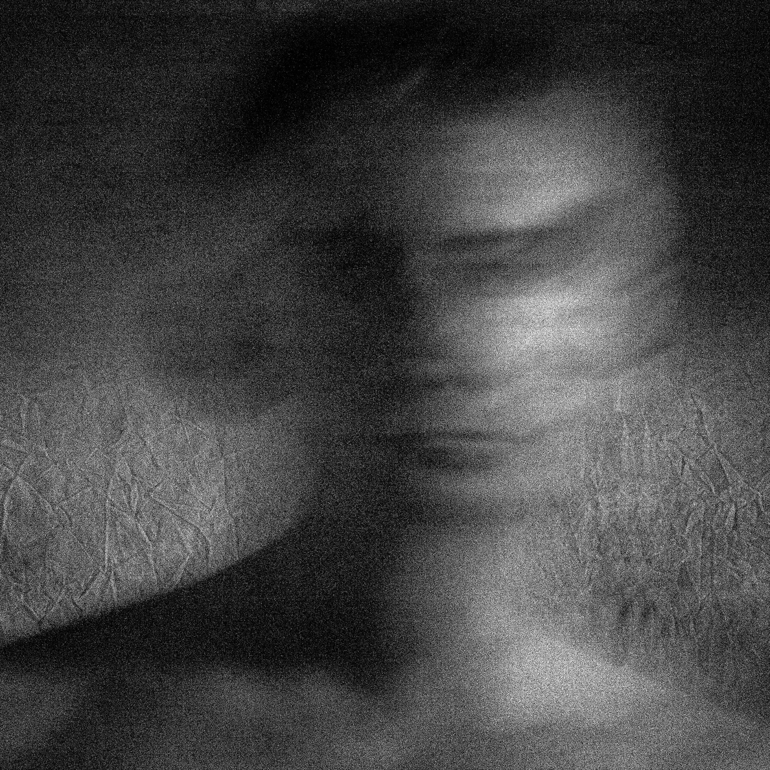 Diminished Self Portrait 1