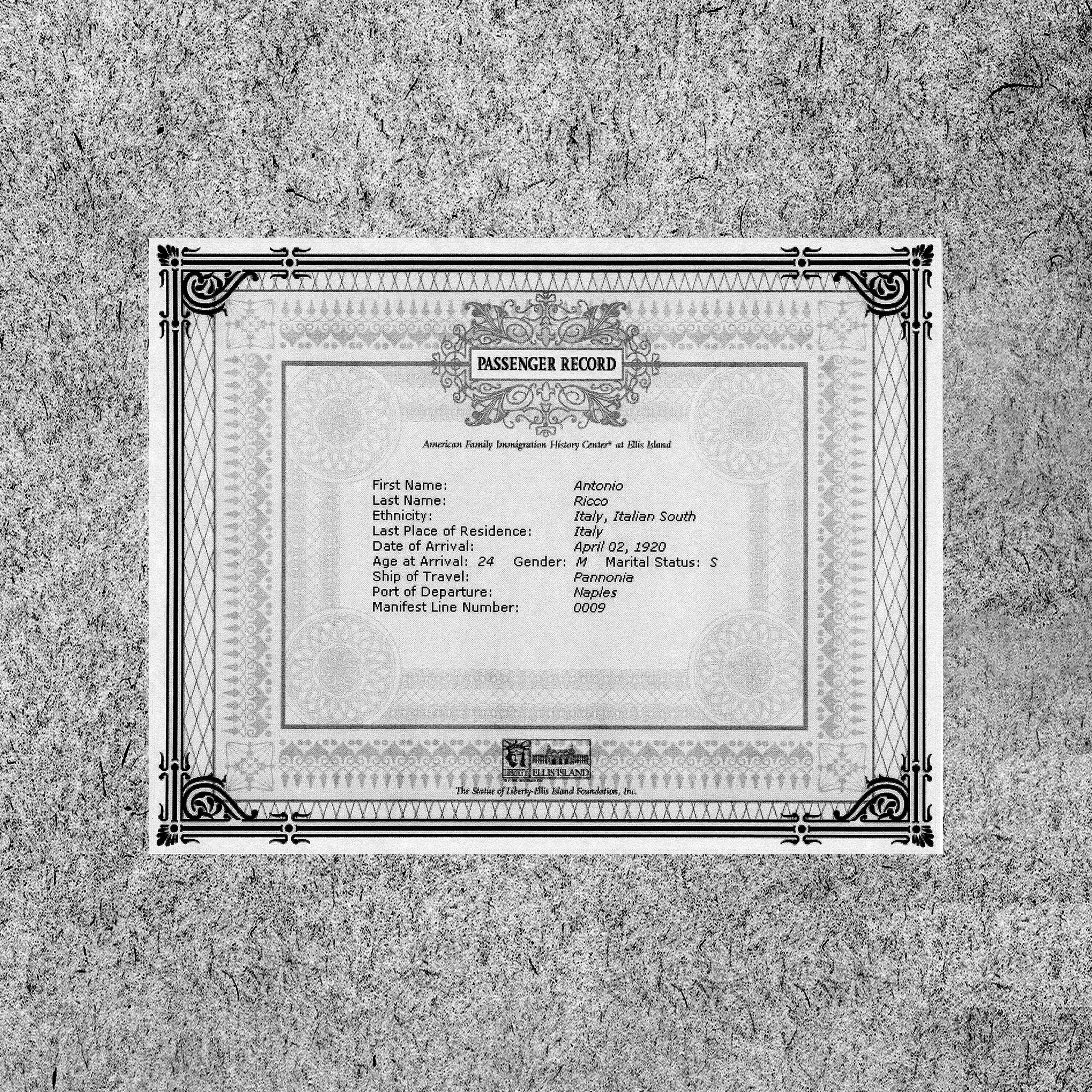 Passenger Record