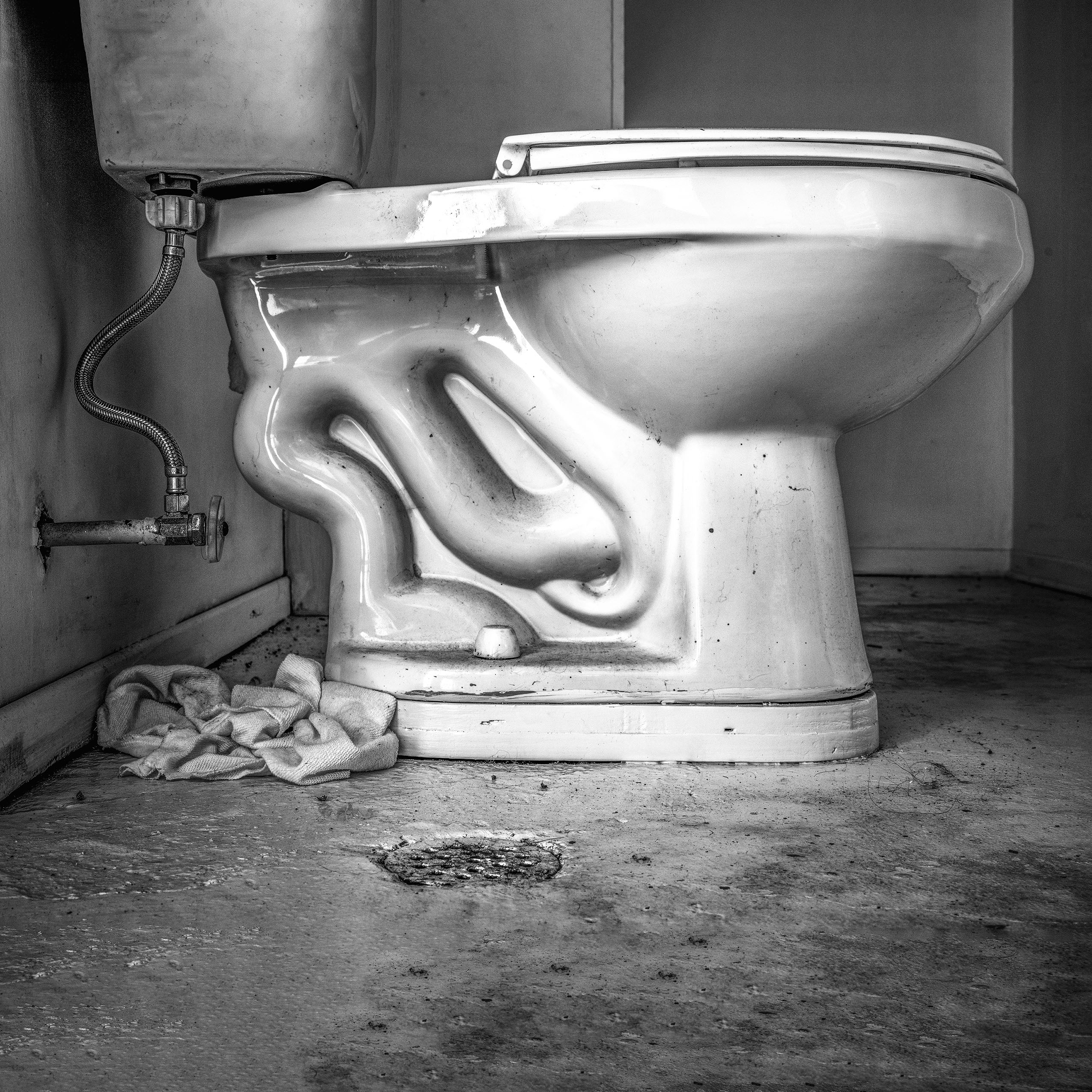 Toilet January 15 2026 3